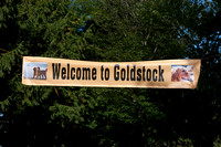 Goldstock 2014